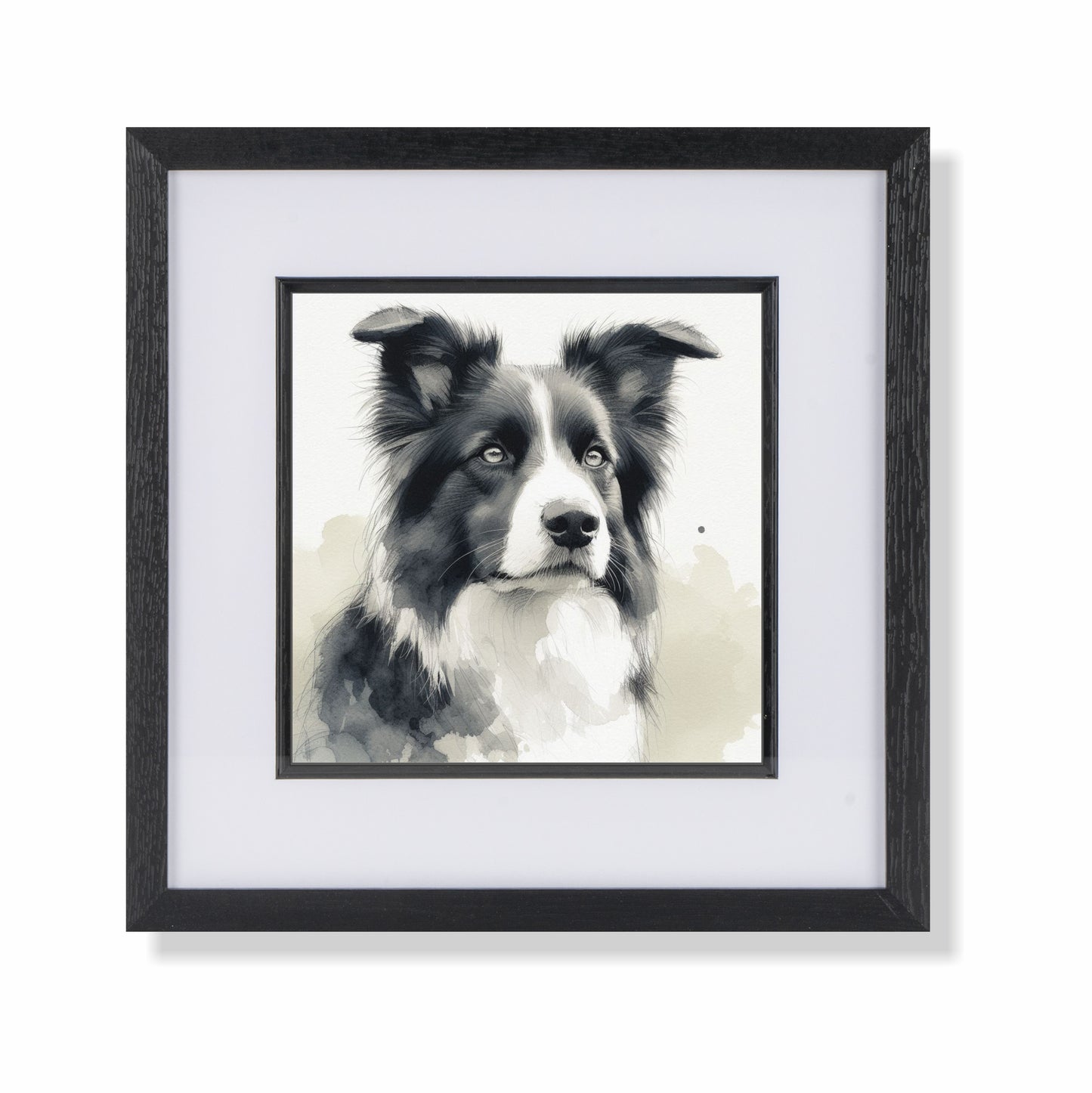 Border Collie 3